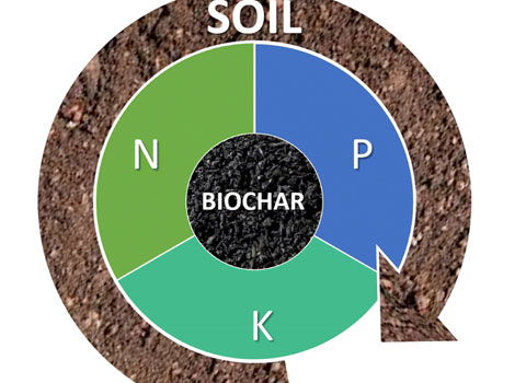 Application of Biochar in Agriculture