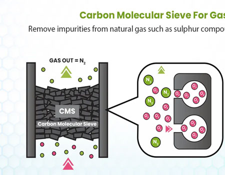 Application of Carbon Molecular Sieves